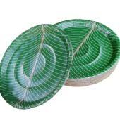 Disposable Coated Paper Plates/Thali (Green, 12 inches) Set of 50 Pieces