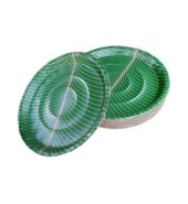 Disposable Coated Paper Plates/Thali (Green, 12 inches) Set of 50