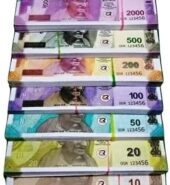 KEFA Fake Money (Multicolor)
