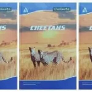 Classmate Regular Regular Notebook Unruled 400 Pages (Multicolor, Pack of 3)