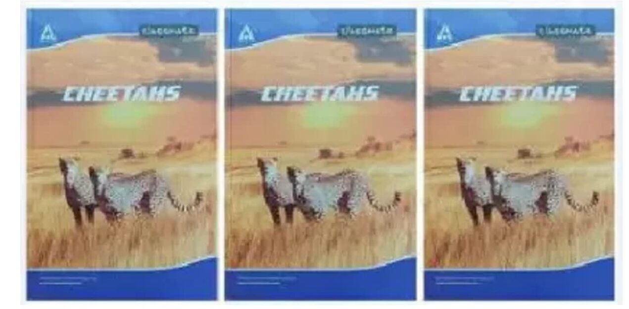 Classmate Regular Regular Notebook Unruled 400 Pages (Multicolor, Pack of 3)