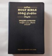 The Holy Bible English Standard Version-Telegu Diglot,Gilt