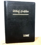 Telugu – Bible – OV Ref BL Gilt Zip (Large Print)