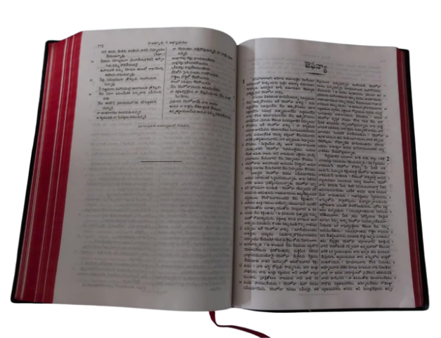 Telugu Holy Bible (తెలుగు పవిత్ర బైబిల్) – Flexibound Edition with Red Side Edges | Complete Old & New Testament in Telugu | Standard size bible - Image 2