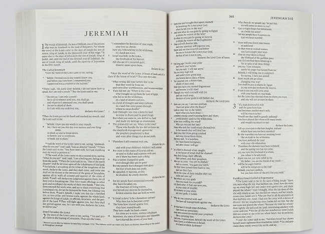 The Holy Bible: English Standard Version: The Outreach Edition - Image 2