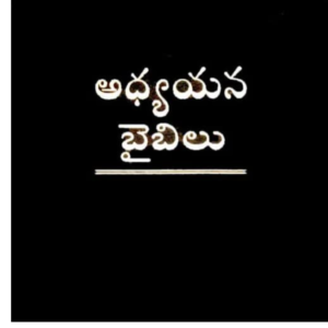 Telugu Study Bible By The Bible Society of India Version