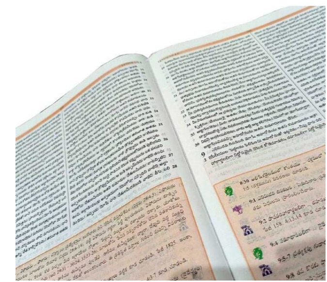 Telugu Study Bible By The Bible Society of India Version - Image 2