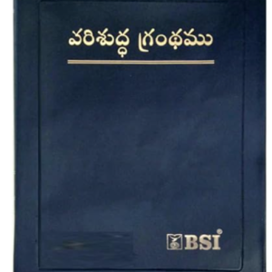 Senior Citizen bible Giant print without zip by The bible society of India (Author)  Format: Plastic Comb