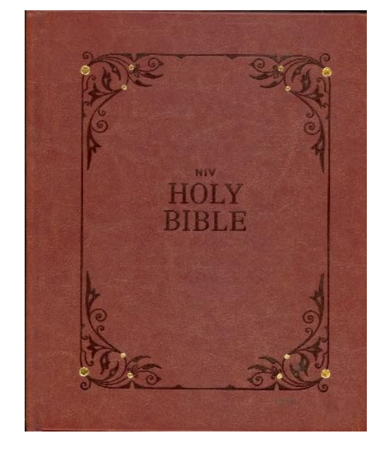 EachDayKart® NIV Our Family Story Bible, LeatherSoft Edition, Telugu Language, 2000 Pages, Religious Genre, Leather Bound