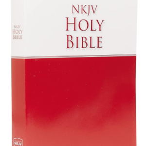 Economy Bible-NKJV: Beautiful. Trustworthy. Today by Thomas Nelson (Author)  Format: Paperback