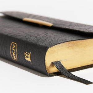 NKJ CHBK BIB by Thomas Nelson Publishers (Author)  Format: Leather Bound