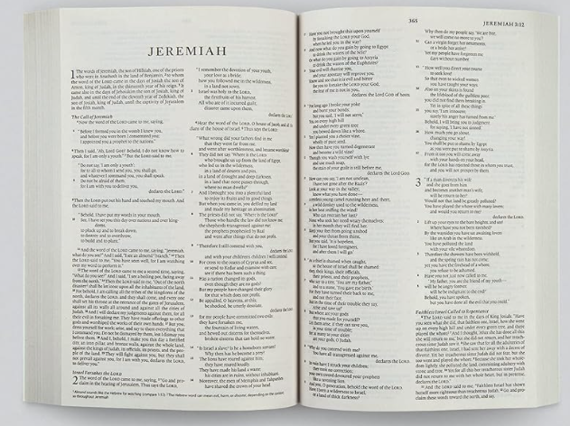The Holy Bible: English Standard Version: The Outreach Edition - Image 2