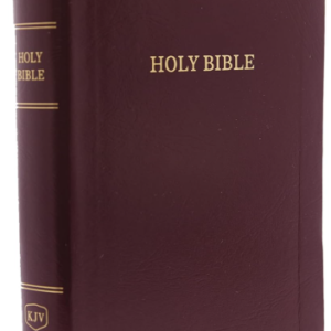 Kjv, Reference Bible, Personal Size Giant Print, Leather-Loo