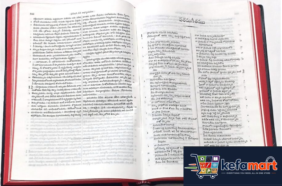 Holy Bible TELUGU / Medium size- Contains Old and New Testament - Image 2