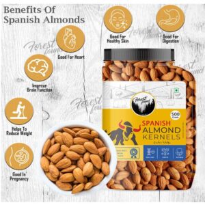 Forest Found Premium Spanish Whole Almonds 500g | Imported Big Size Badam Giri | 100% Natural, Raw & Authentic California Crunchy Healthy Dry Fruits | High Protein Roasted & Raw Snacking