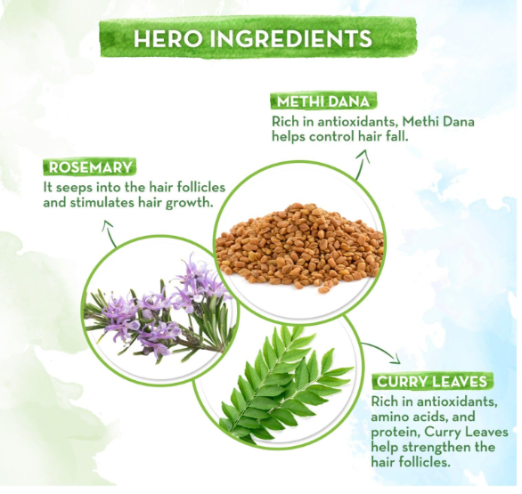 Mamaearth Rosemary & Methi Dana Hair Oil - Promotes Growth, Controls Fall, Strengthens & Stimulates New Growth | 200 ml - Image 2