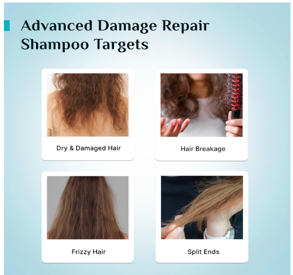 Pilgrim Korean Rice Water & Collagen Advanced Damage Repair Shampoo - 200ml | with 17 Amino Acids, Wheat Protein & 5 Ceramides | Paraben-Free | For Dry & Damaged Hair | For Women and Men - Image 2